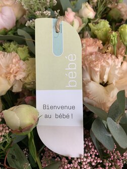 Nono Bienvenue au b&eacute;b&eacute;